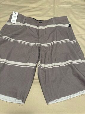 Men's Gray Stripe Casual Shorts